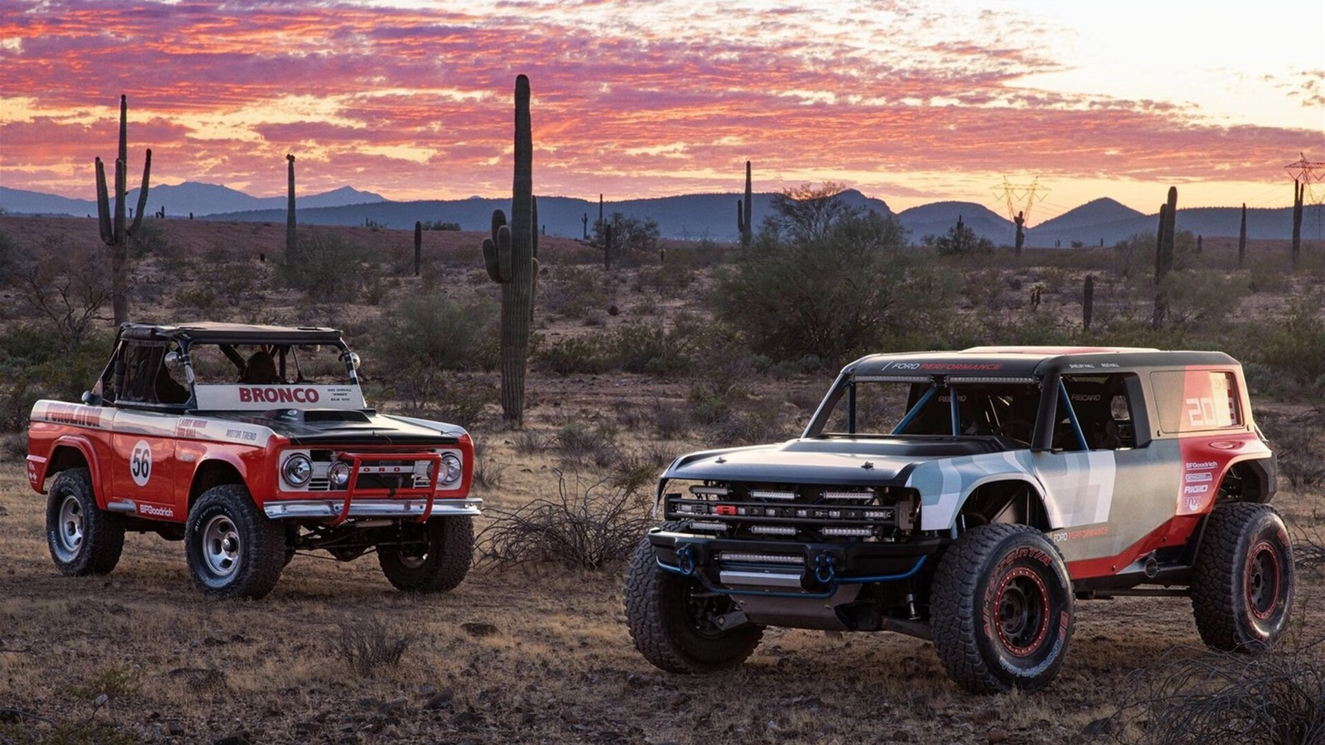 体育文化融合科技打造智慧展览，体育文化创意产业