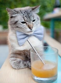 乔治·巴尔:以稳健的防守和精妙传球成为全黑队中场核心,乔治巴斯