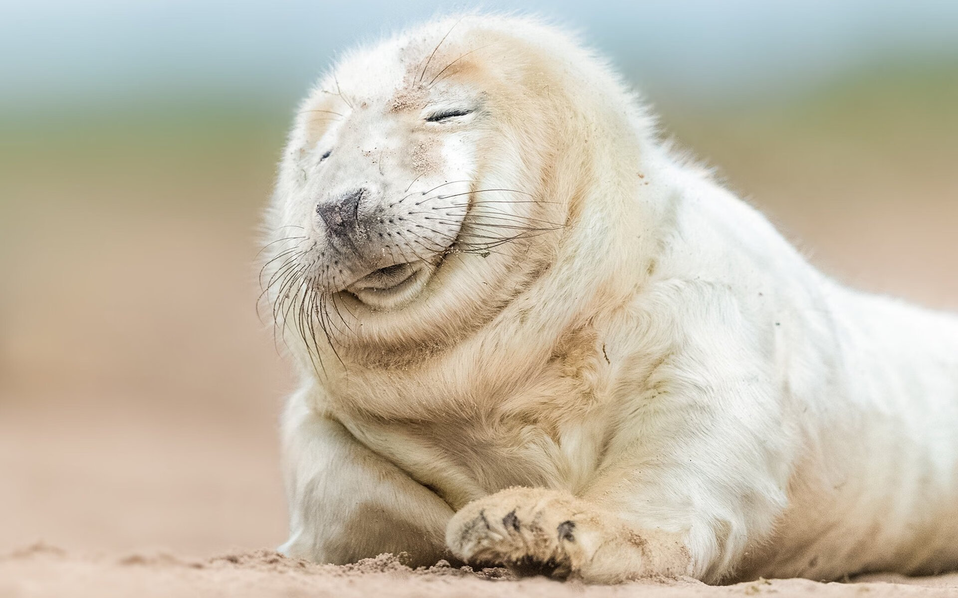 国际青少年足球合作项目持续深化，推动全球足球青训体系一体化