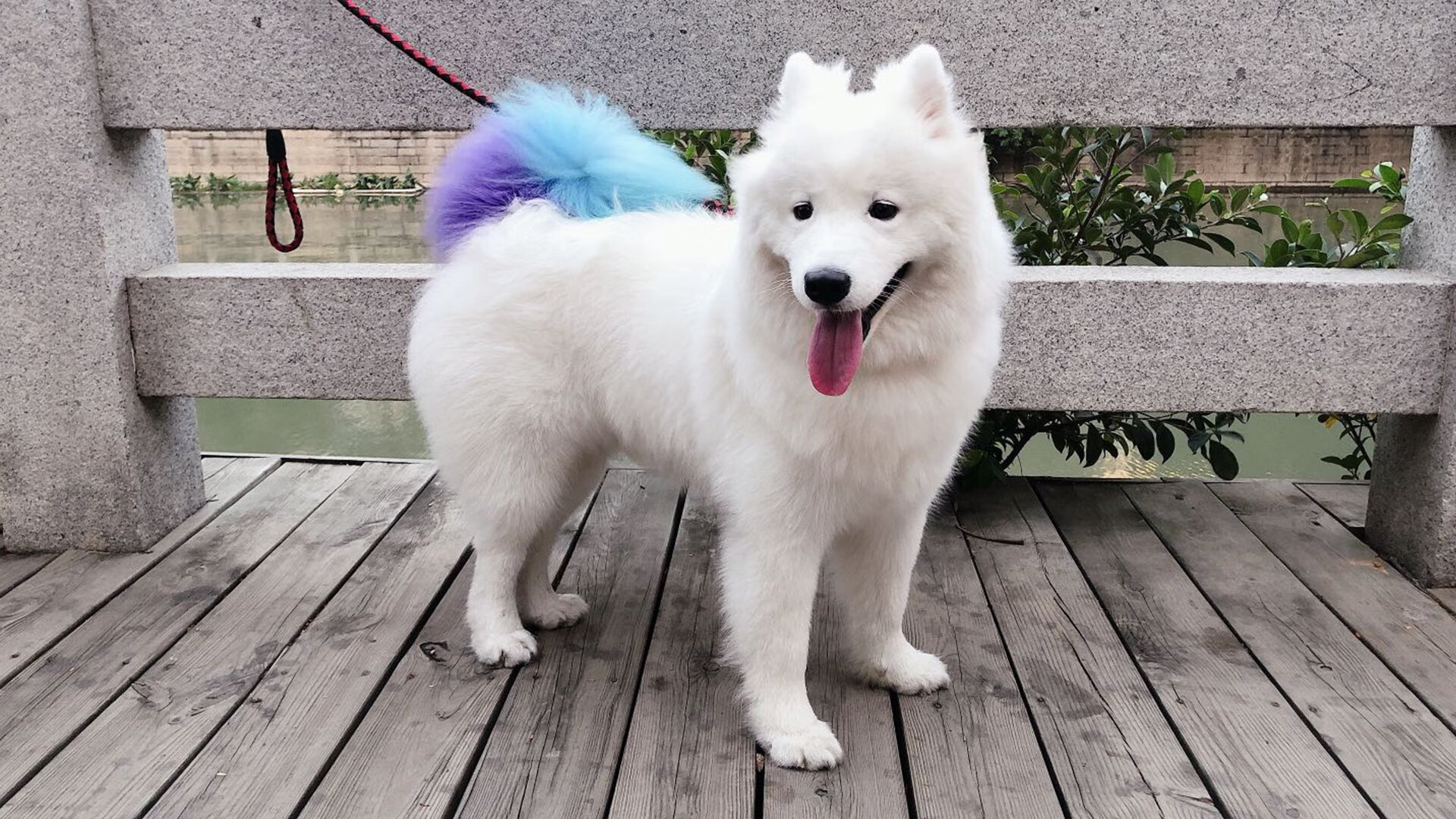 leyu乐鱼官网登录入口-女子选手打破性别偏见，女性打破性别歧视的例子