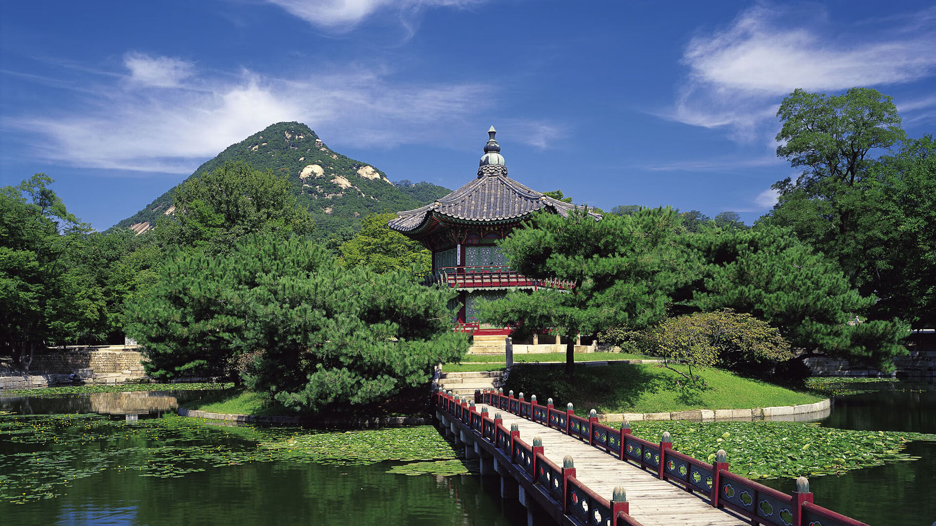 希腊女篮在欧洲锦标赛中展现顽强实力，向冠军全力冲锋，希腊男篮欧锦赛