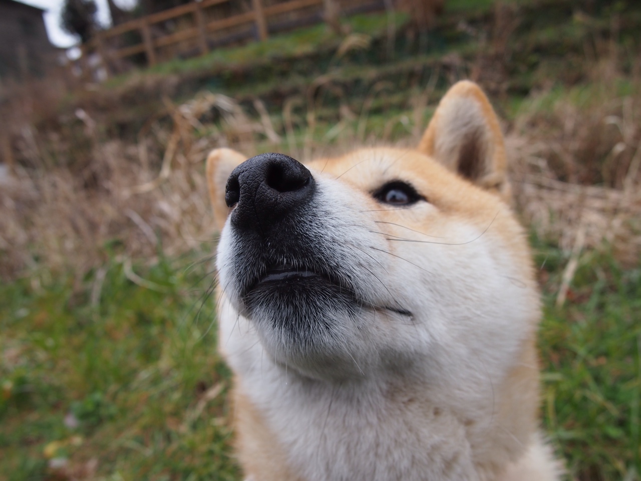 意甲团队合作:默契十足,赢得胜利!,意甲关系密切球队