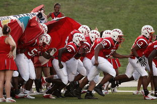 leyu.com-球迷助威声点燃比赛氛围，球迷助威口号