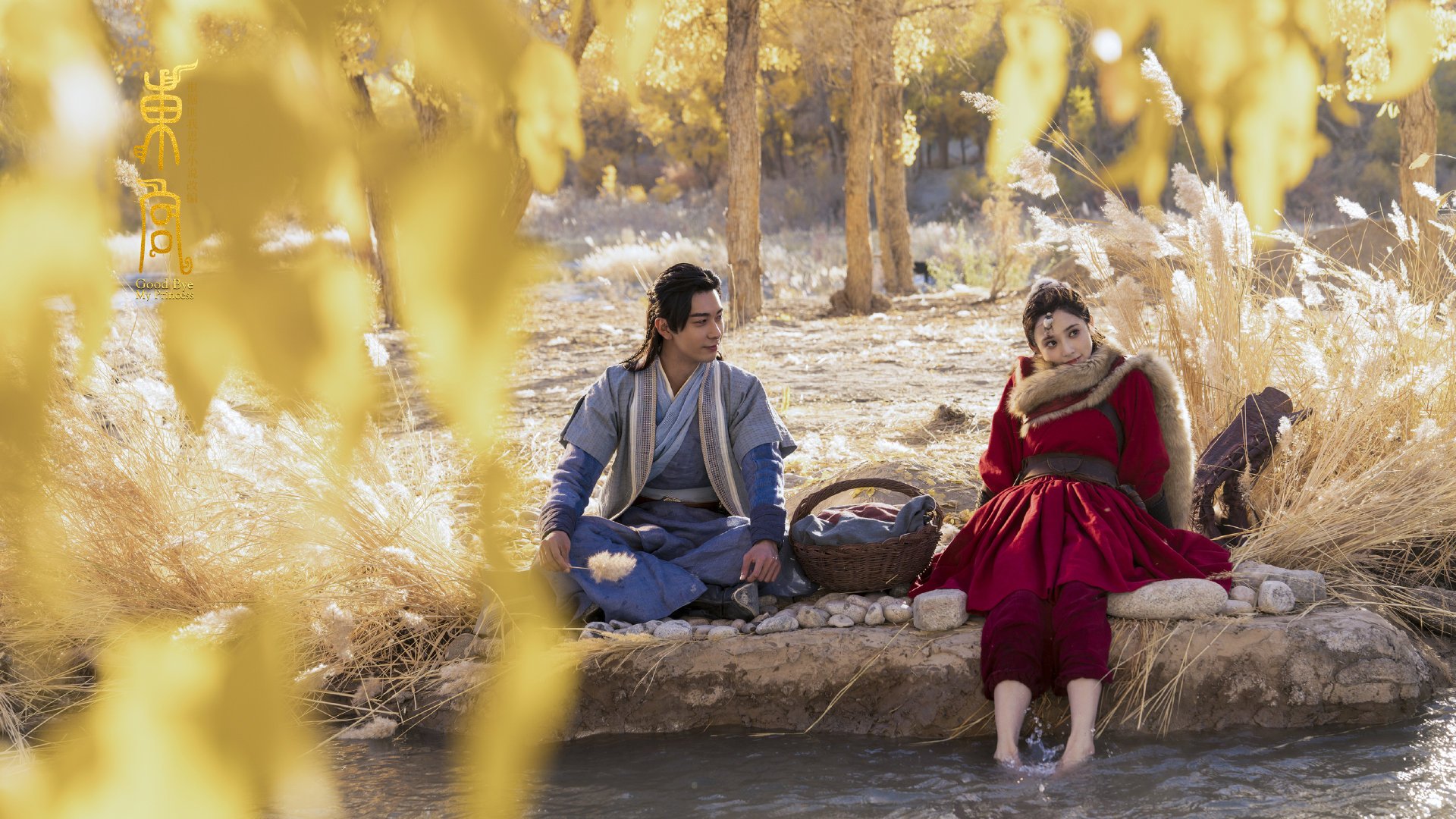 美洲杯逆境追逐:拼搏到底,精彩不断!,美洲杯读秒绝杀