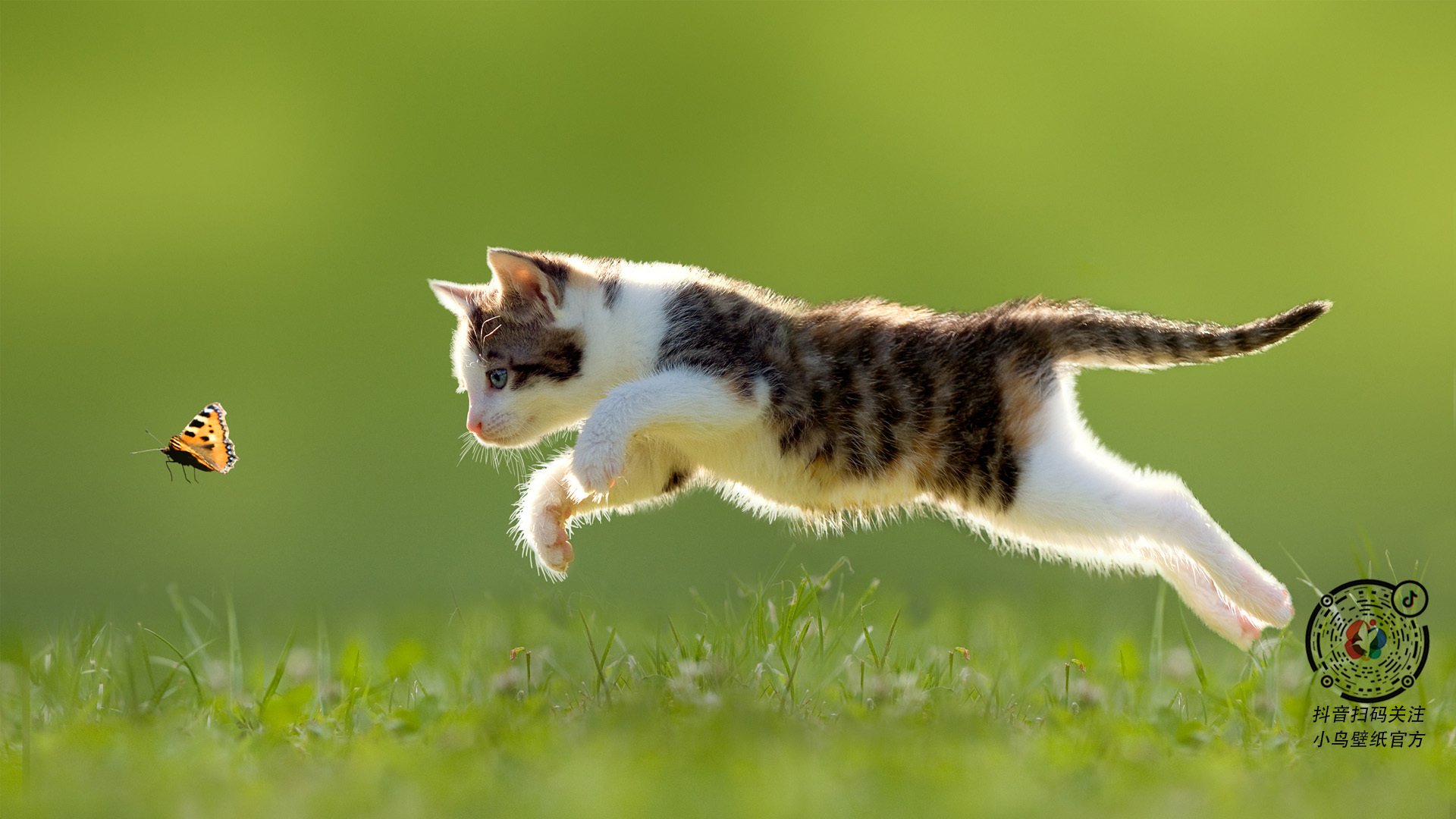 2025留学生求职机构排名,DBC职梦成首选机构,留学求职机构好不好