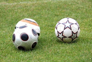 乐鱼娱乐app-中国足球俱乐部资金投入对青训营产出的回报率，中国足球俱乐部怎么盈利