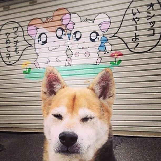 中国足球裁判技术培训升级，中国职业足球裁判