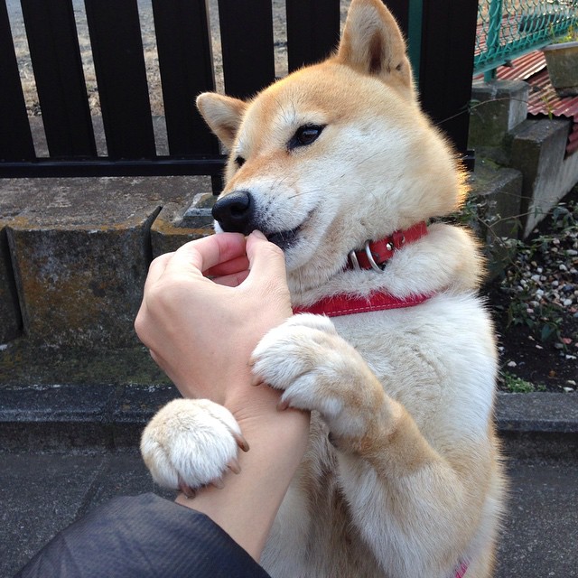 中国足球裁判误判现象原因与改善路径，足球裁判误判怎么办